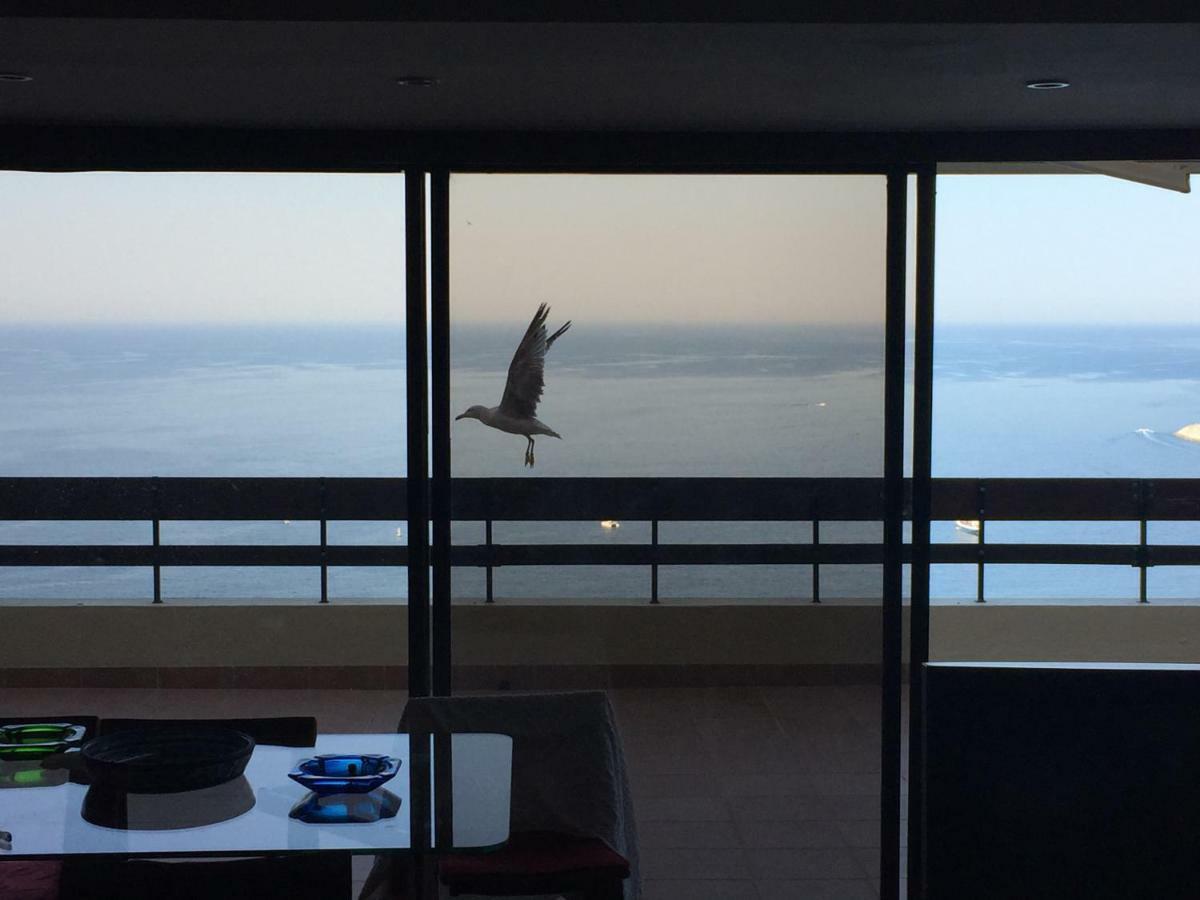 With A Stunning View Over